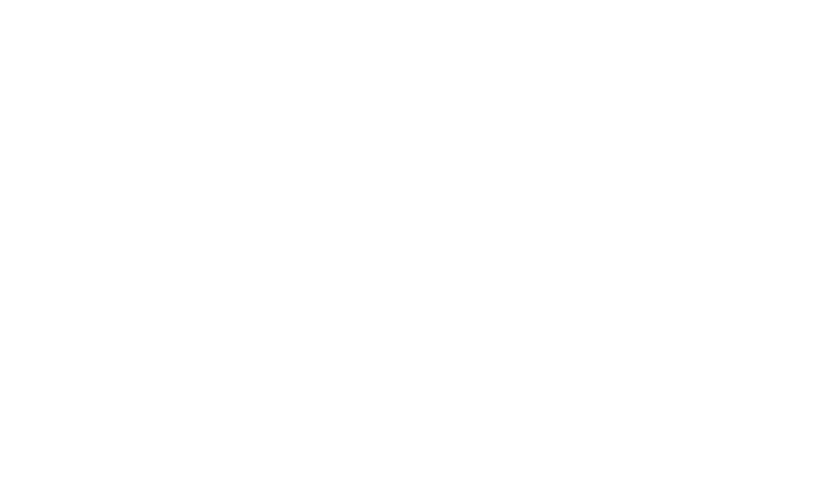 Aiming to be a Luxury Brand in the United States