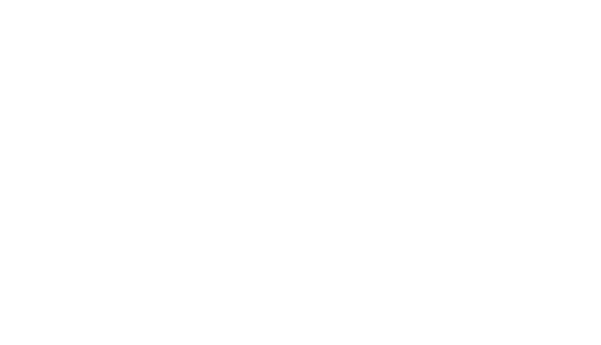 Overview of Our Global Strategy for Markets and Manufacturing Sites