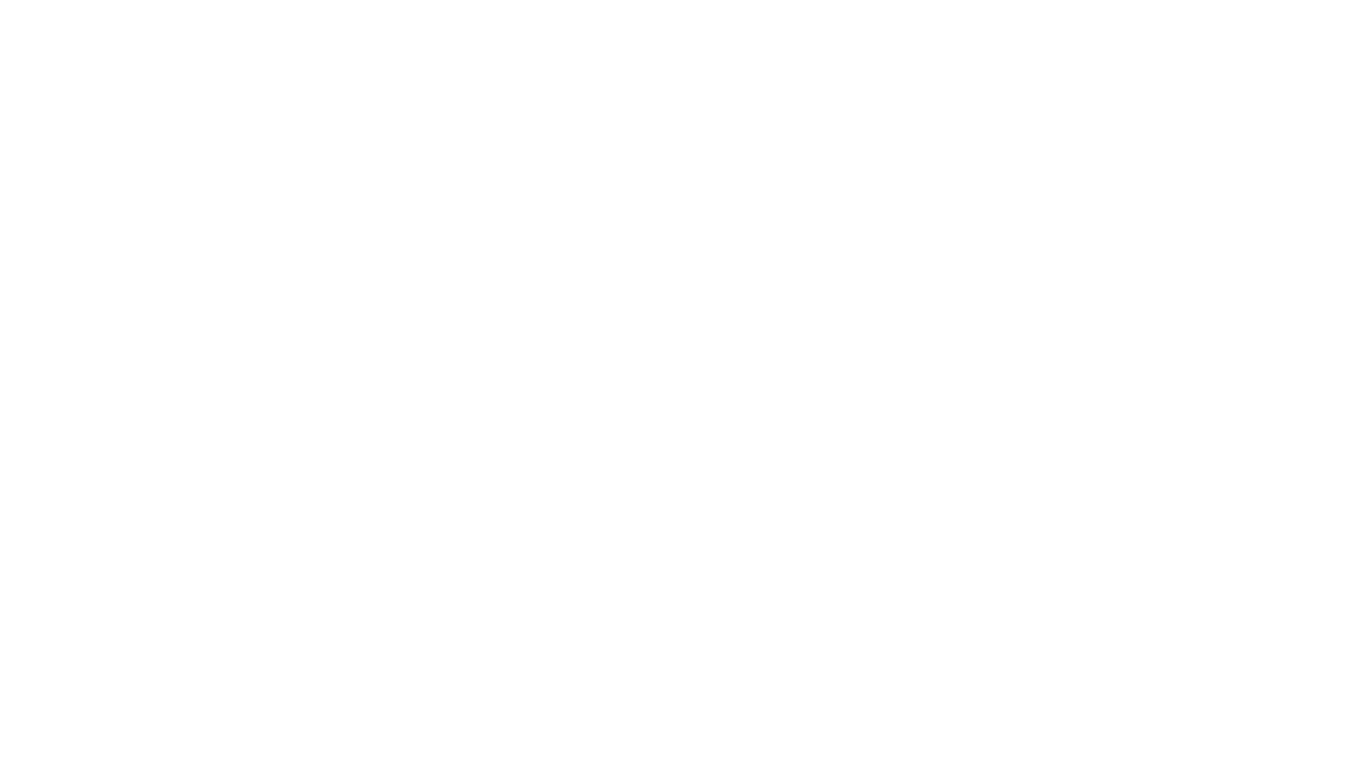 Birth of WASHLET™