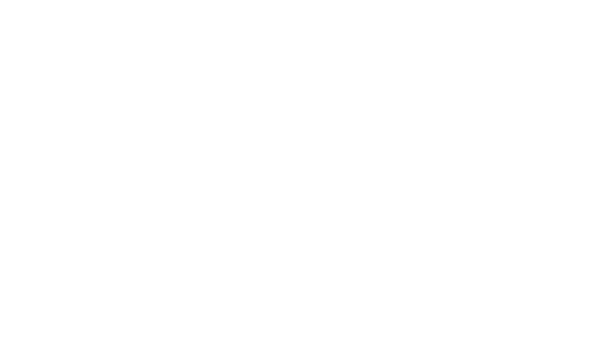 Integration of Functionality and Design