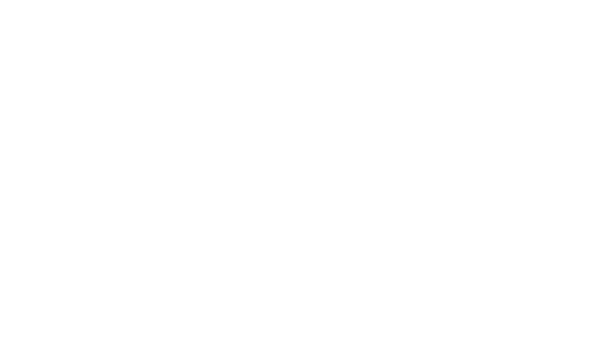 TDYアライアンスの発進