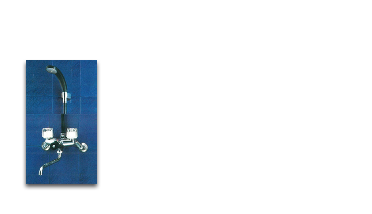 HSシリーズ 2バルブシャワーバス金具TM115C