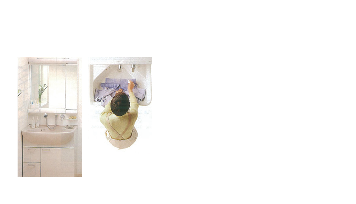 ランドリードレッサー