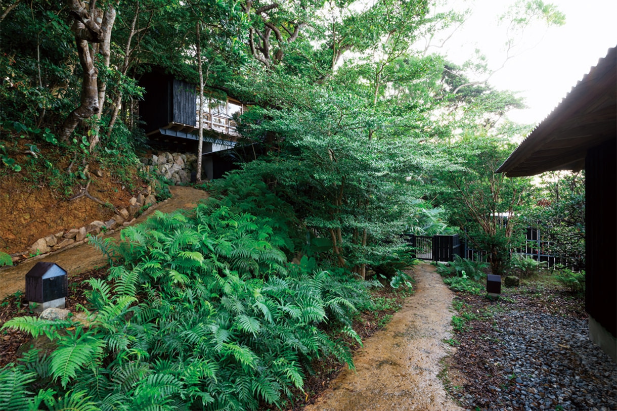 ph no.4 食事棟から西側を見る。左上に寝室棟、右の門を抜けると事務棟へ戻る。写真/傍島利浩