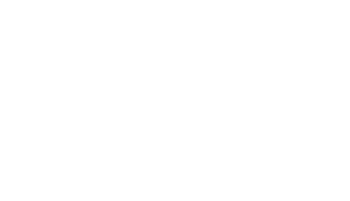 挑战印度尼西亚事业