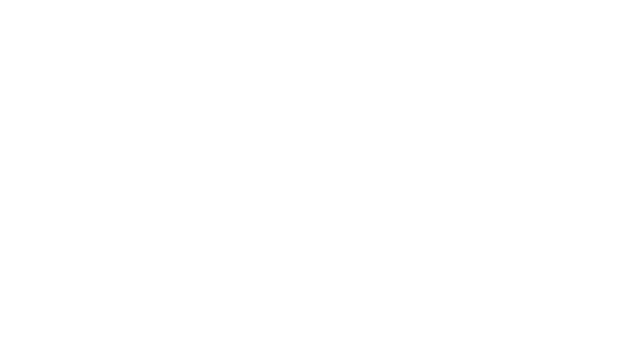 卫洗丽™（WASHLET™）的全球战略