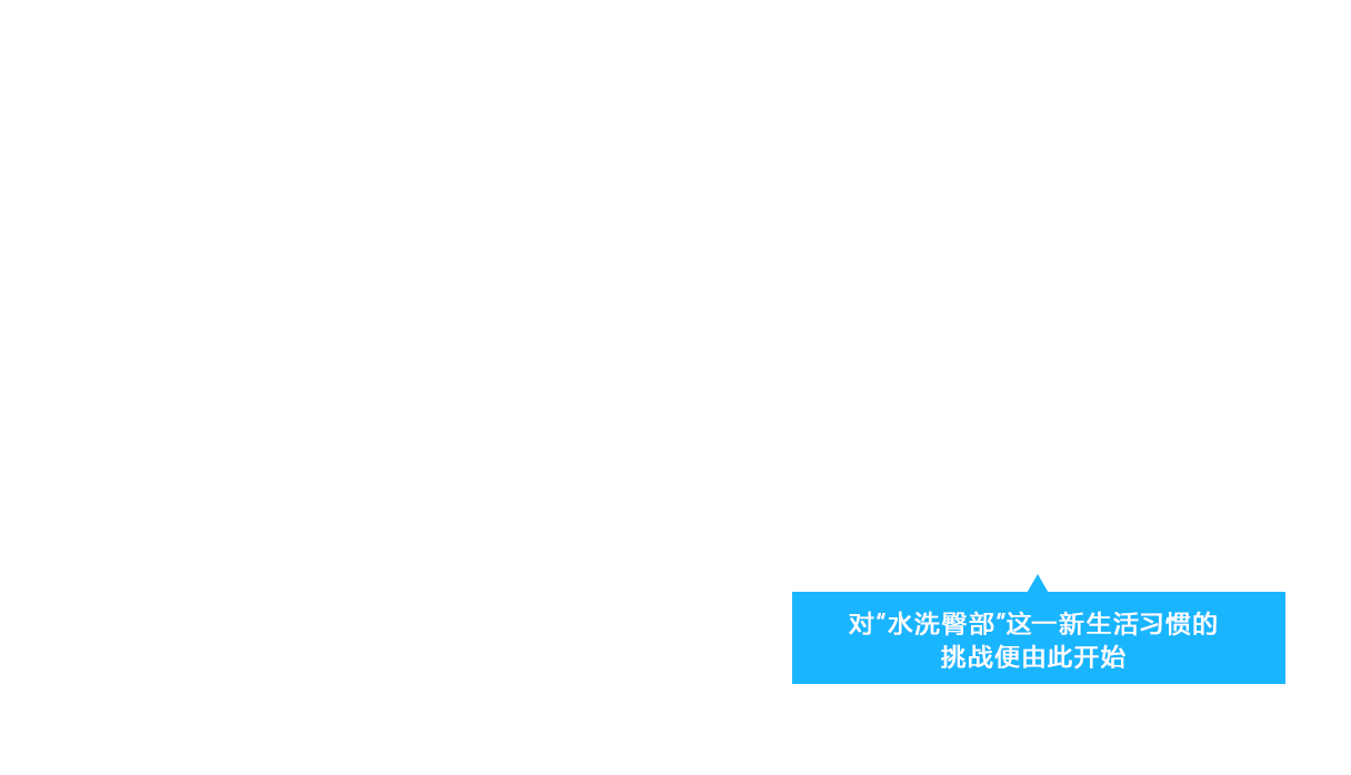 对“水洗臀部”这一新生活习惯的挑战便由此开始